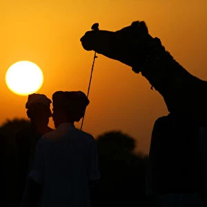 INDIAN VILLAGERS CHECK A CAMEL BEFORE PURCHASE AT PUSHKAR FAIR