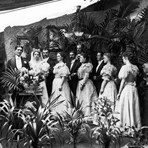 WEDDING PARTY, 1897. American wedding party photographed, 1897, surrounded by potted