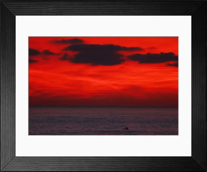 Framed Print : Dolphin jumps after sun set off the coast of California Framed Print : Dolphin jumps after sun set off the coast of California