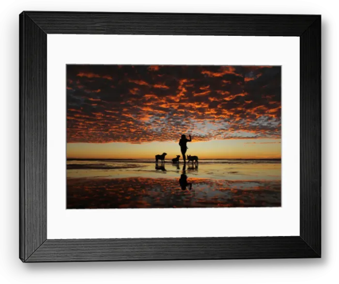 Framed Print : A woman plays with her three dogs at the beach after sun set in Del Mar, California