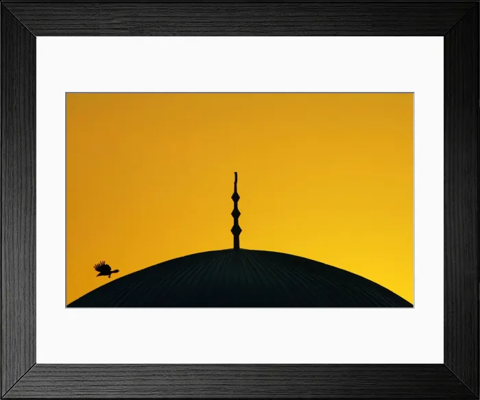 Framed Print : Bird flies near mosque in town of Urosevac Framed Print : Bird flies near mosque in town of Urosevac