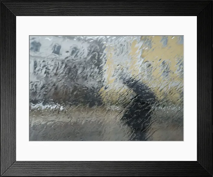 Framed Print : A woman walks while holding an umbrella to protect her from the rain in central Kiev Framed Print : A woman walks while holding an umbrella to protect her from the rain in central Kiev