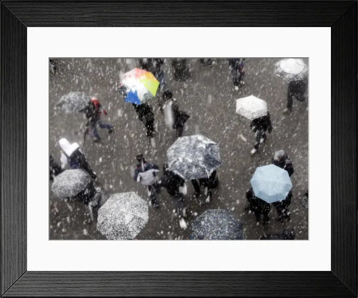 Framed Print : People protect themselves with umbrellas from falling snow in Rome Framed Print : People protect themselves with umbrellas from falling snow in Rome