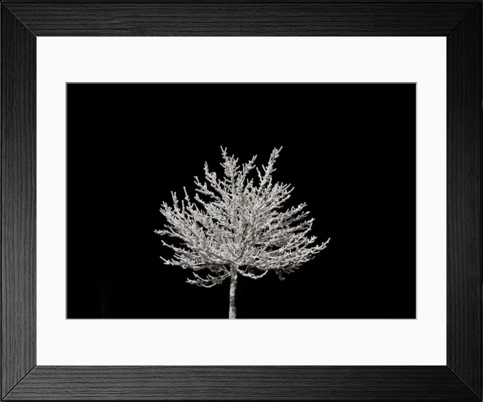 Framed Print : A snow-covered tree is illuminated at a car park in the eastern German ski resort