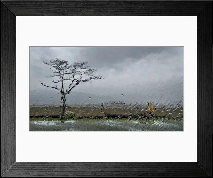 Framed Print : Rain on a vehicle windshield blurs a person walking in the heavy rain in Vancouver Framed Print : Rain on a vehicle windshield blurs a person walking in the heavy rain in Vancouver