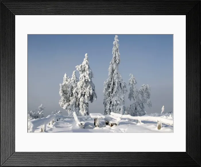 Framed Print : Trees are covered with ice and snow at the peak of the Feldberg mountain in Koenigstein Framed Print : Trees are covered with ice and snow at the peak of the Feldberg mountain in Koenigstein