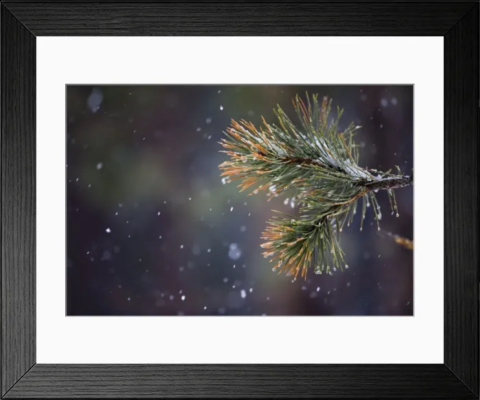 Framed Print : To match feature WATER / Framed Print : To match feature WATER /