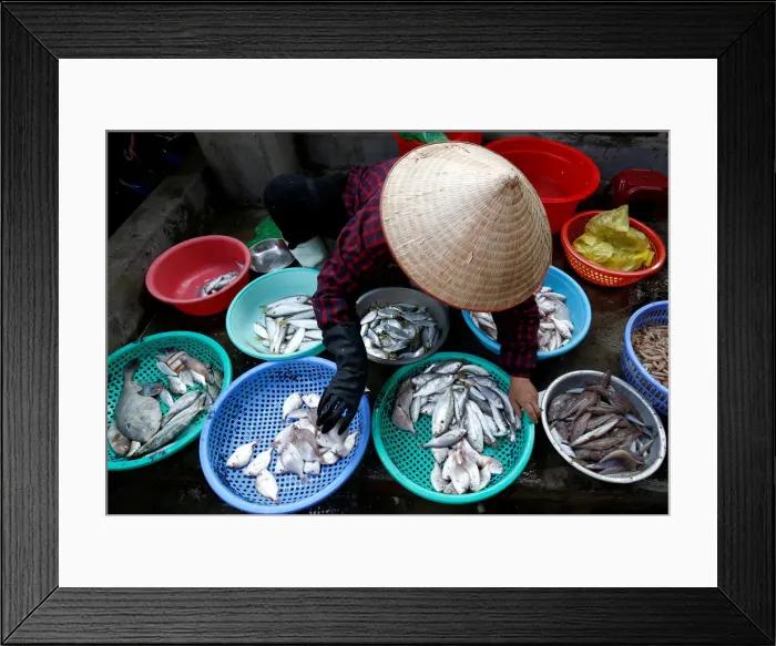 Framed Print : A woman sells fishes at a seafood market in Ha Long Bay