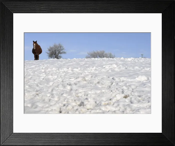 Framed Print : A horse walks after a snowfall in La Fresneda Framed Print : A horse walks after a snowfall in La Fresneda