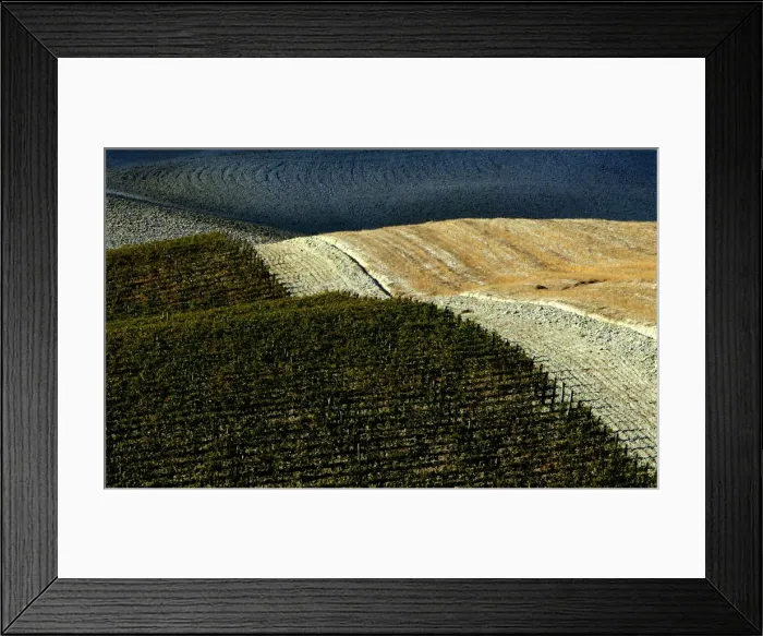 Framed Print : A typical landscape in the Val d Orcia close to the Tuscan town of Montalcino Framed Print : A typical landscape in the Val d Orcia close to the Tuscan town of Montalcino