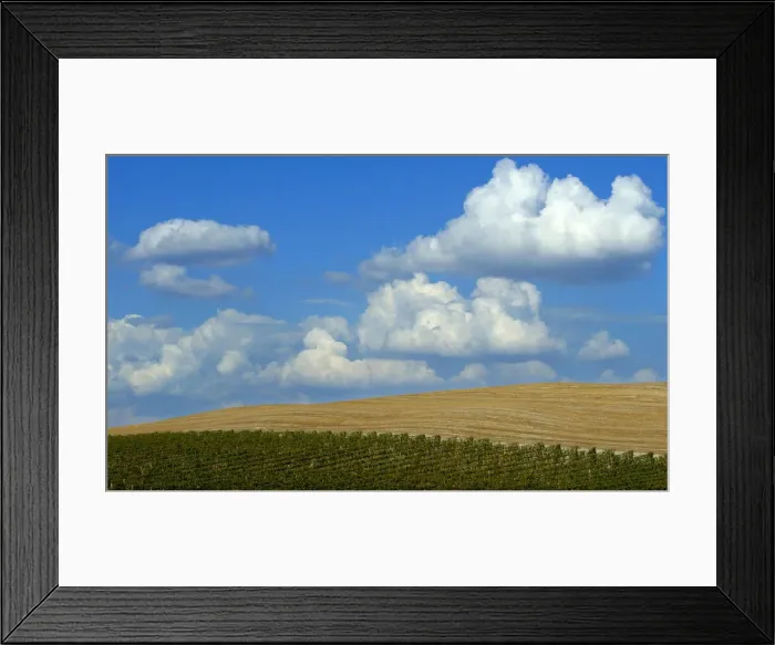 Framed Print : A typical landscape in the Val d Orcia close to the Tuscan town of Montalcino Framed Print : A typical landscape in the Val d Orcia close to the Tuscan town of Montalcino