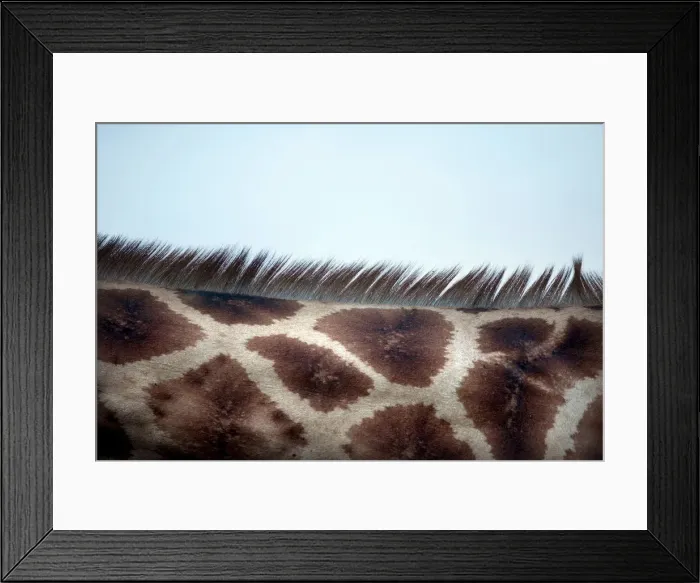 Framed Print : Wider Image: Earthprints: Lake Nakuru Framed Print : Wider Image: Earthprints: Lake Nakuru