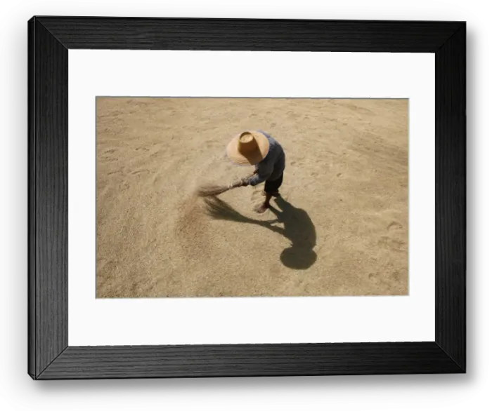Framed Print : A Thai farmer dries rice grains in Buriram province Framed Print : A Thai farmer dries rice grains in Buriram province