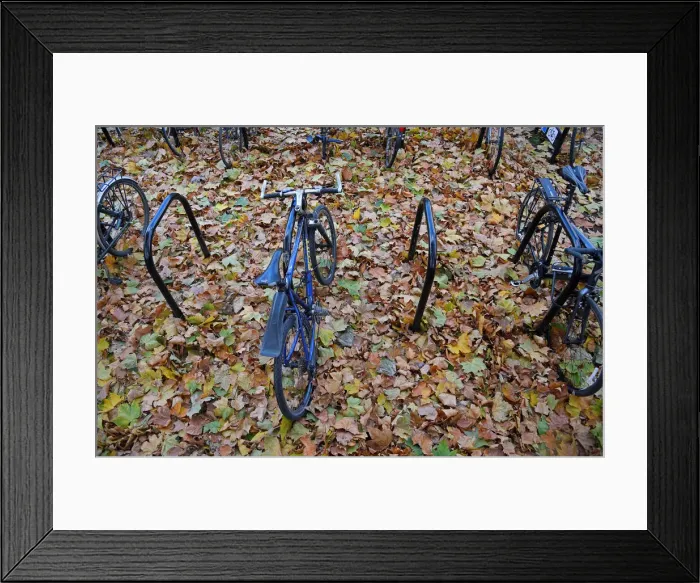 Framed Print : Bicycle bays are seen covered in fallen leaves in London, Britain