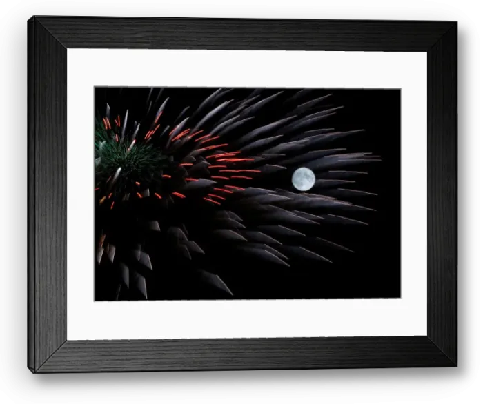 Framed Print : Fireworks explode in front of the full moon during celebrations marking the feast Framed Print : Fireworks explode in front of the full moon during celebrations marking the feast