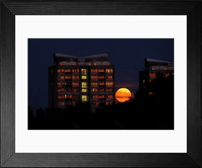 Framed Print : Ashes 2019 - Fifth Test - England v Australia
