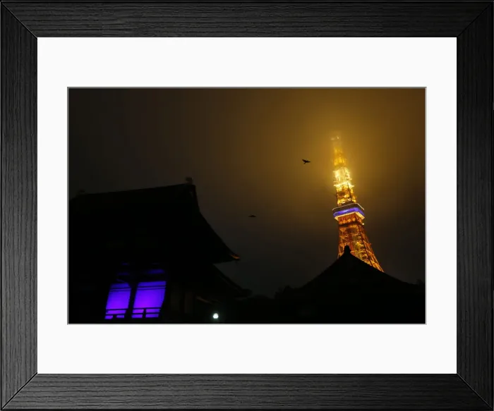Framed Print : Birds fly over Zojoji Temple and Tokyo tower before their lights were turned off during Framed Print : Birds fly over Zojoji Temple and Tokyo tower before their lights were turned off during