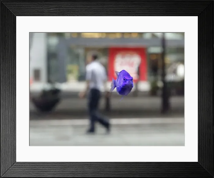 Framed Print : A tropical fish swims in a fish tank as a passer-by walks at a business district in Tokyo