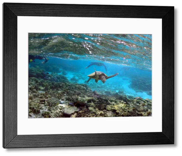 Framed Print : Wider Image - Great Barrier Reef At Risk Framed Print : Wider Image - Great Barrier Reef At Risk