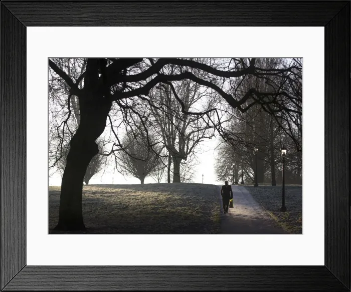 Framed Print : A man walks along a frosty path in Primrose Hill in north London