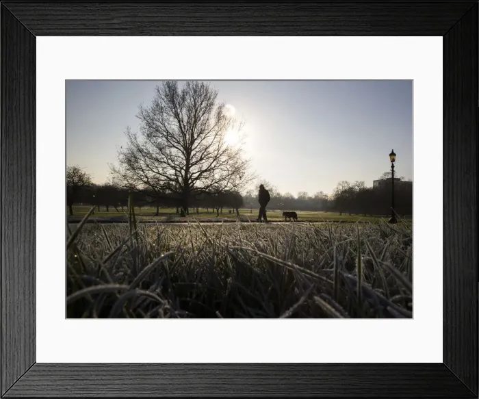 Framed Print : A man walks a dog on a frosty morning in Primrose Hill in north London
