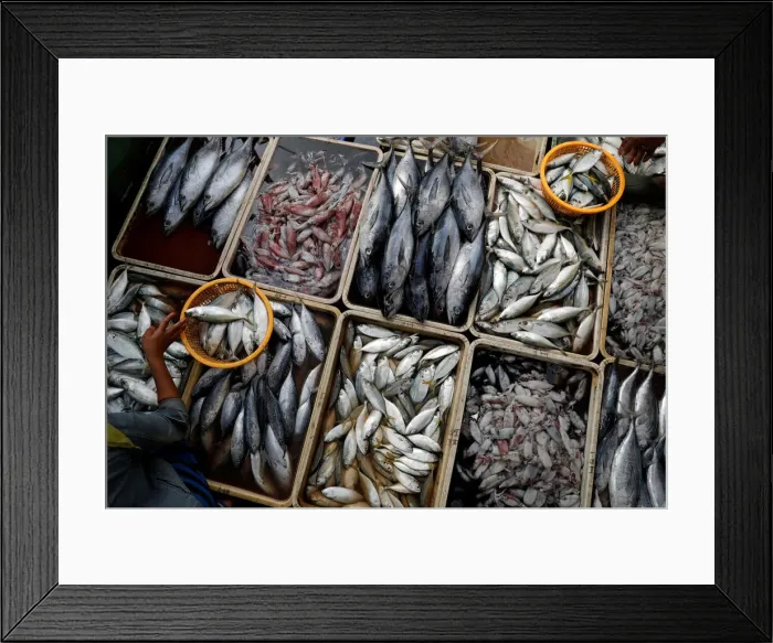 Framed Print : A woman shops for fish at Pabean fish market in Surabaya