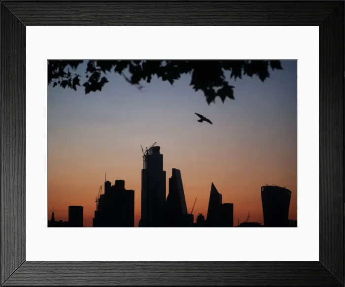 Framed Print : A bird flies as the sun rises behind the city of London financial district in London Framed Print : A bird flies as the sun rises behind the city of London financial district in London