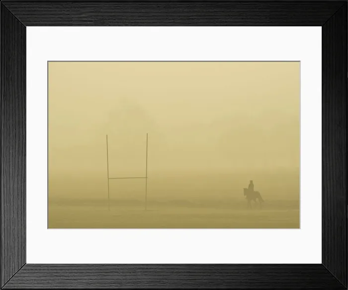 Framed Print : A horse and rider cross Richmond Park shortly after dawn