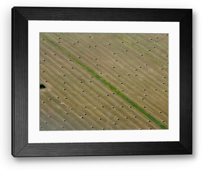 Framed Print : Aerial view of bales of straw on a harvested grain field in Brandenburg state Framed Print : Aerial view of bales of straw on a harvested grain field in Brandenburg state