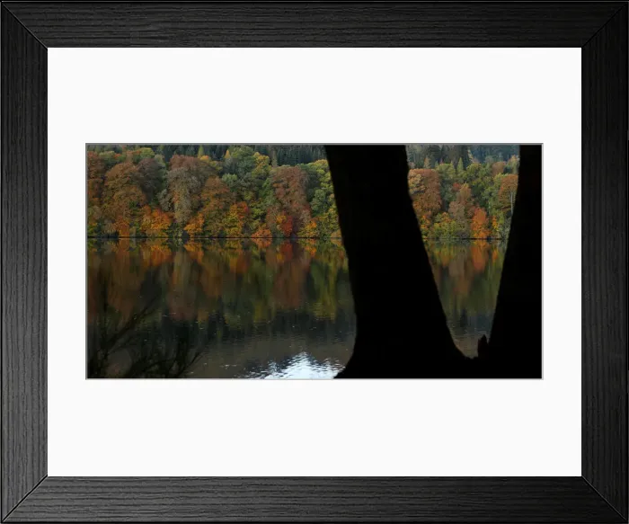 Framed Print : Autumn leaves are reflected on Loch Faskally, Pitlochry, Scotland