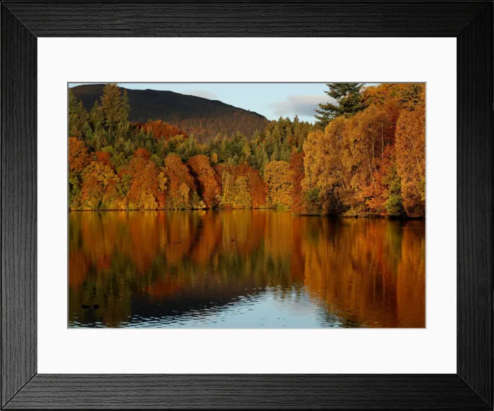Framed Print : Autumn leaves are reflected on Loch Faskally, Pitlochry, Scotland Framed Print : Autumn leaves are reflected on Loch Faskally, Pitlochry, Scotland