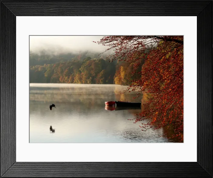 Framed Print : Autumnal foliage is reflected on Loch Faskally, Pitlochry, Scotland Framed Print : Autumnal foliage is reflected on Loch Faskally, Pitlochry, Scotland