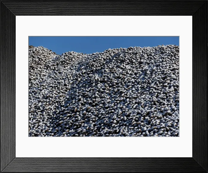 Framed Print : Frozen harvest leaves bitter taste for US sugar beet farmers Framed Print : Frozen harvest leaves bitter taste for US sugar beet farmers