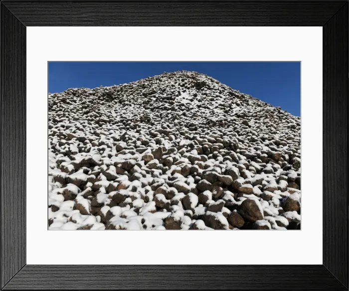 Framed Print : Frozen harvest leaves bitter taste for US sugar beet farmers Framed Print : Frozen harvest leaves bitter taste for US sugar beet farmers