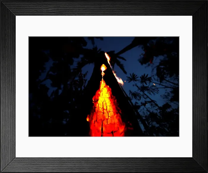 Framed Print : A burning tree is seen during a fire in an area of the Amazon rainforest in Itapua do Framed Print : A burning tree is seen during a fire in an area of the Amazon rainforest in Itapua do
