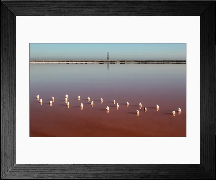 Framed Print : General view of a salt production site on the bed of a drained area of the Sasyk-Sivash