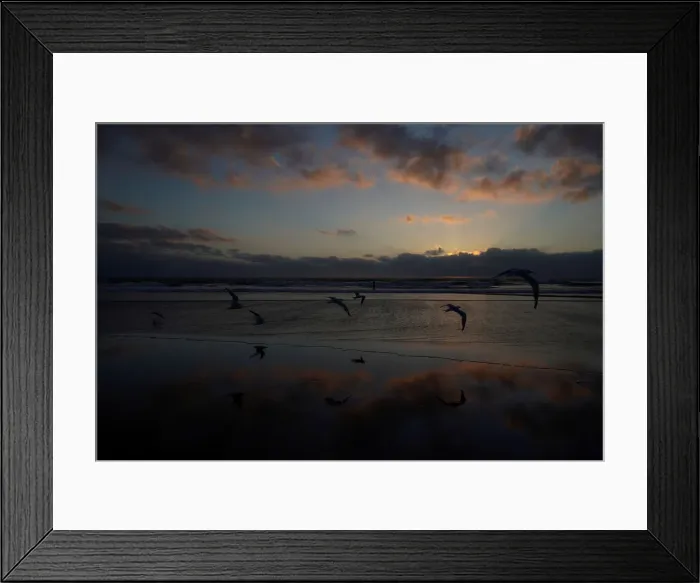 Framed Print : Sea birds fly at low tide along Cardiff State Beach in Encinitas Framed Print : Sea birds fly at low tide along Cardiff State Beach in Encinitas