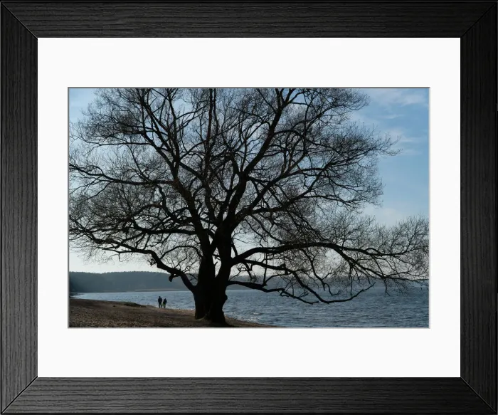 Framed Print : Couple enjoy a sunny autumn day at a lake on the outskirts of Minsk Framed Print : Couple enjoy a sunny autumn day at a lake on the outskirts of Minsk