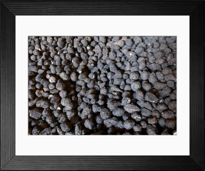 Framed Print : Frozen harvest leaves bitter taste for US sugar beet farmers Framed Print : Frozen harvest leaves bitter taste for US sugar beet farmers