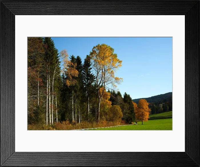 Framed Print : People enjoy a sunny autumn day in the Valley de Joux near Le Chenit Framed Print : People enjoy a sunny autumn day in the Valley de Joux near Le Chenit