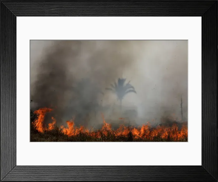 Framed Print : Tract of the Amazon jungle burns as it is cleared by loggers and farmers in Porto Velho