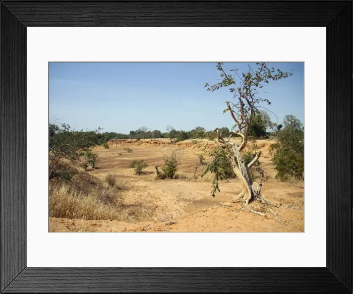 Framed Print : Parched land is pictured around the Lake Wegnia, in Sahel region of Koulikoro