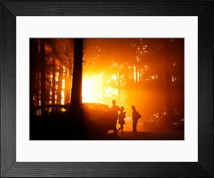Framed Print : People are seen during sunset in a forest on the outskirts of Minsk Framed Print : People are seen during sunset in a forest on the outskirts of Minsk
