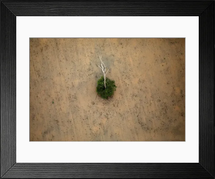 Framed Print : An aerial view shows a deforested plot of the Amazon near Porto Velho Framed Print : An aerial view shows a deforested plot of the Amazon near Porto Velho