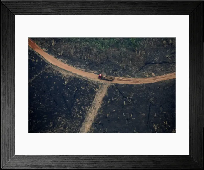 Framed Print : An aerial view of a deforested plot of the Amazon in Boca do Acre