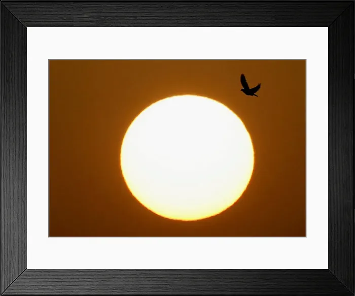 Framed Print : The sun rises in Cairo Framed Print : The sun rises in Cairo