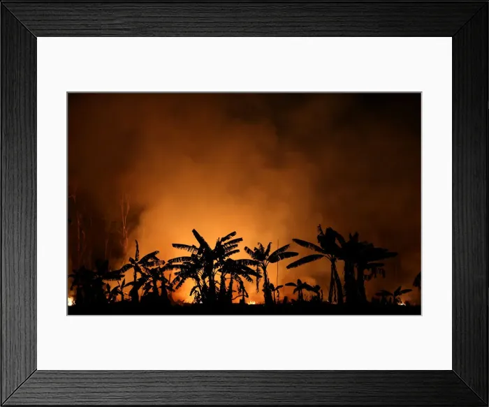 Framed Print : A fire burns a tract of Amazon jungle near Porto Velho Framed Print : A fire burns a tract of Amazon jungle near Porto Velho