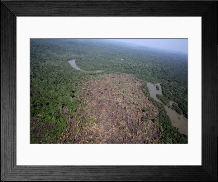 Framed Print : An aerial view of a tract of Amazon jungle recently cleared by loggers