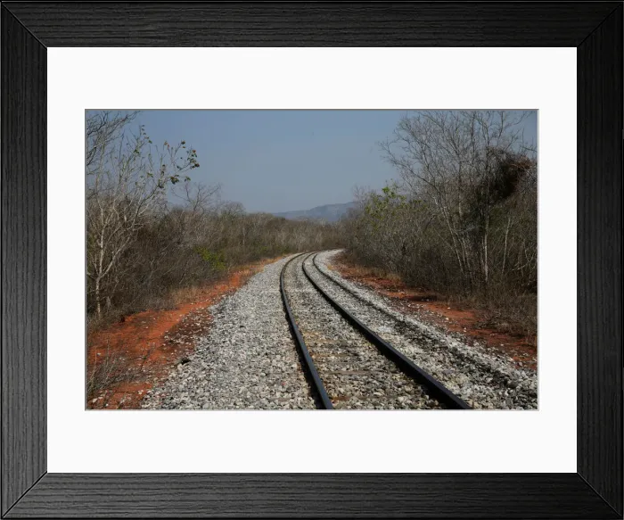 Framed Print : Train tracks that link Santa Cruz and Corumba, Brazil are seen in an area where wildfires Framed Print : Train tracks that link Santa Cruz and Corumba, Brazil are seen in an area where wildfires