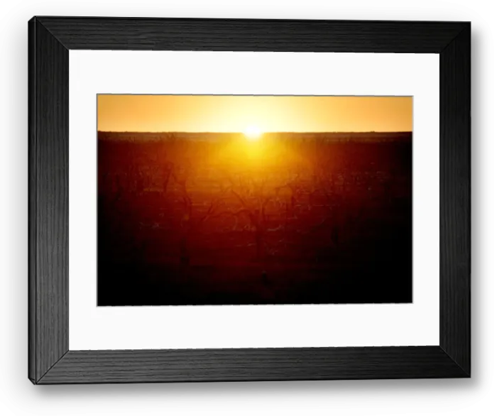 Framed Print : The Wider Image: Thirst turns to anger as Australias mighty river runs dry Framed Print : The Wider Image: Thirst turns to anger as Australias mighty river runs dry